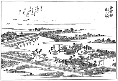 曽根崎露天神